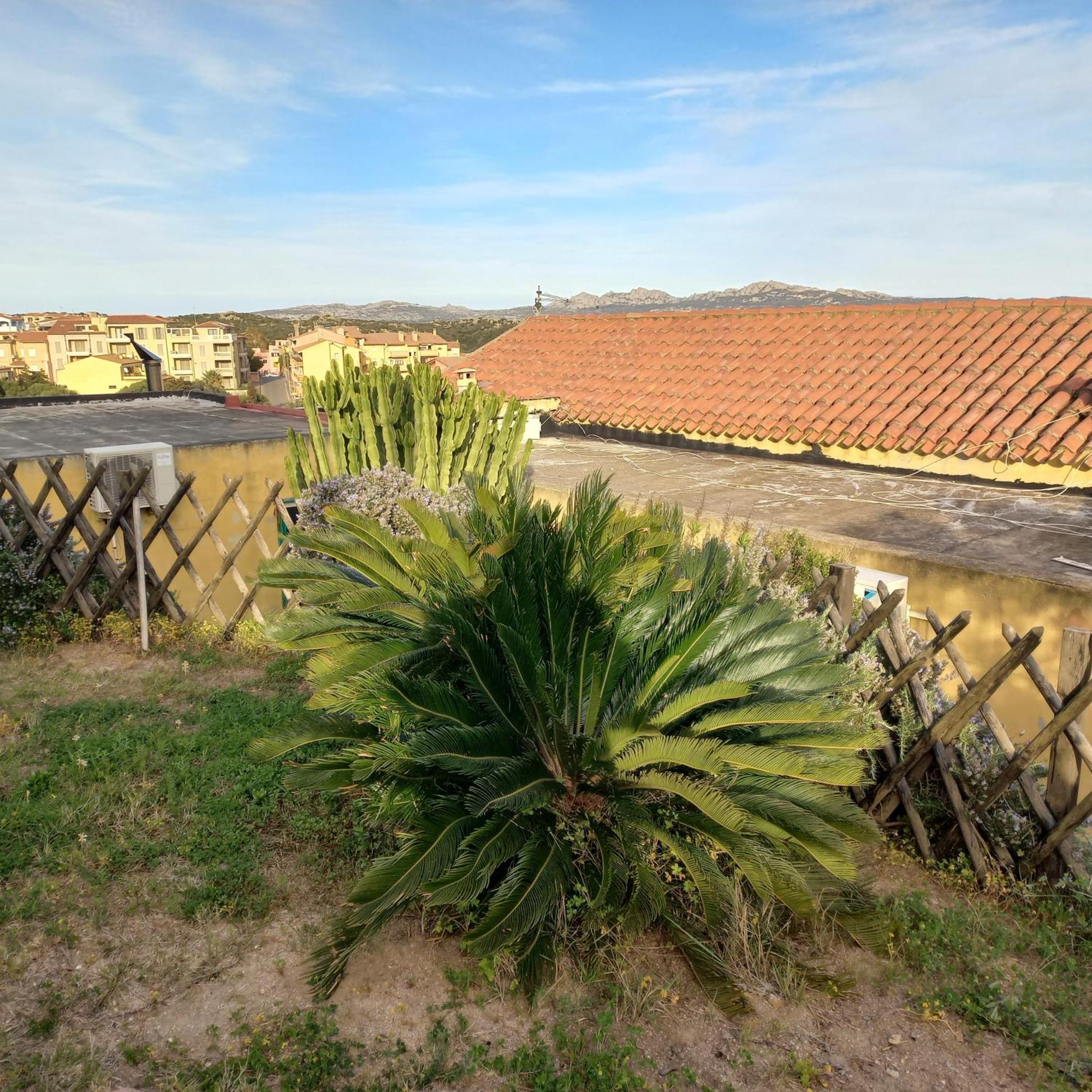 Villa Graziella La Maddalena  Zewnętrze zdjęcie