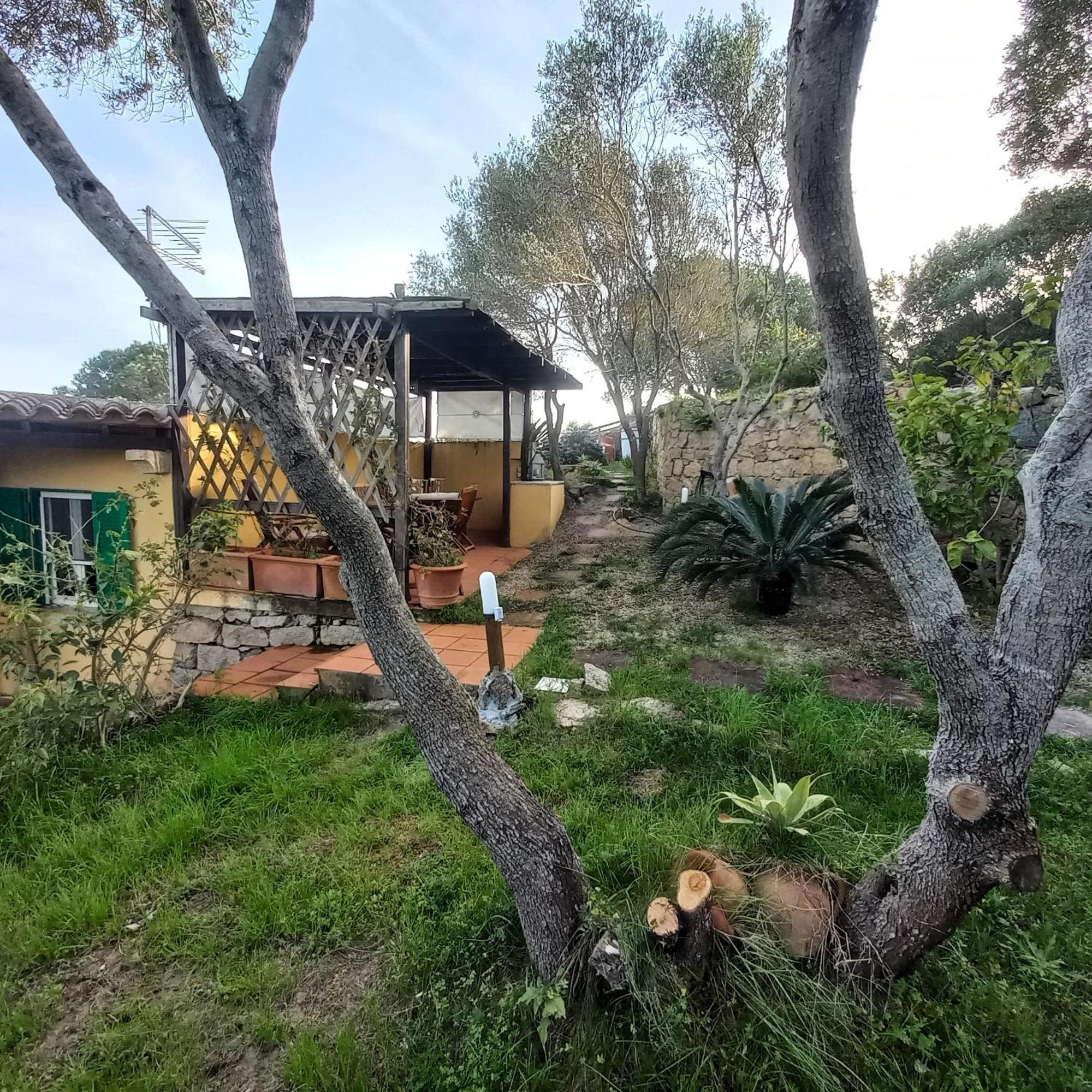 Villa Graziella La Maddalena  Zewnętrze zdjęcie